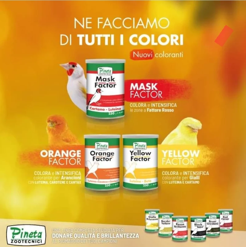 Mascarilla Factor 250 Gramos - Pineta