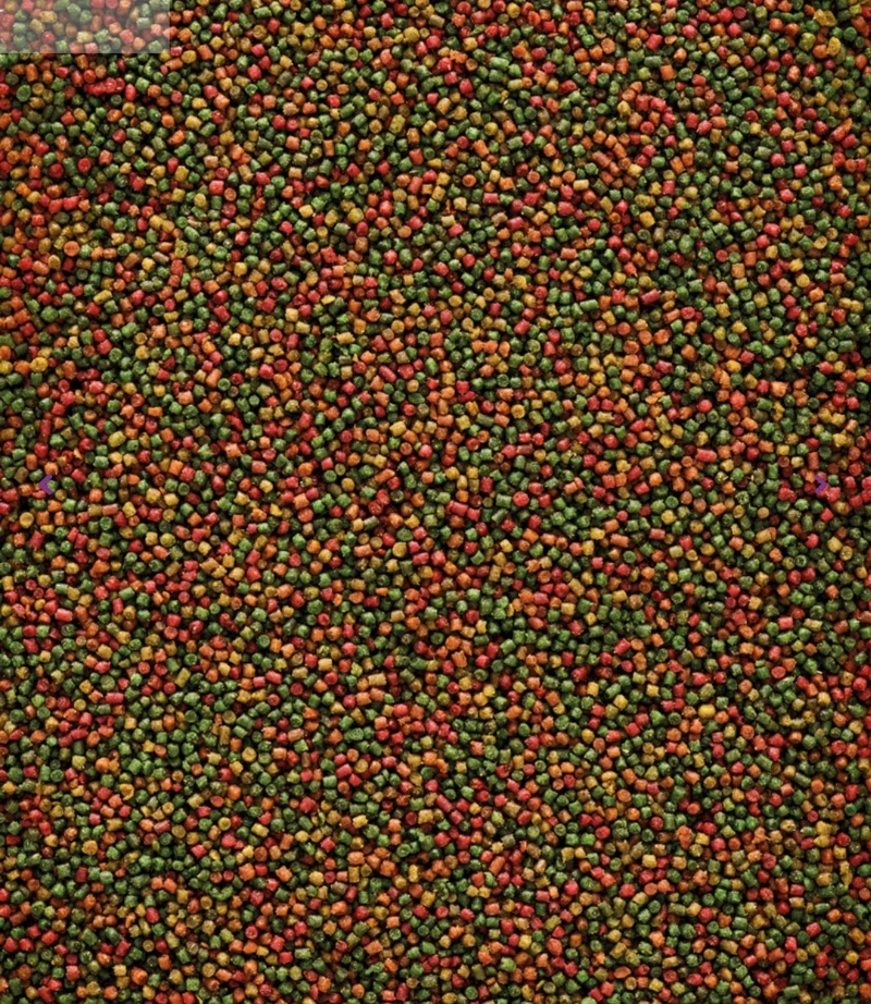 Alimento de mantenimiento para canarios Nutribird C15 10 kg (sustituto de Perle Morbid) - Comida para pájaros