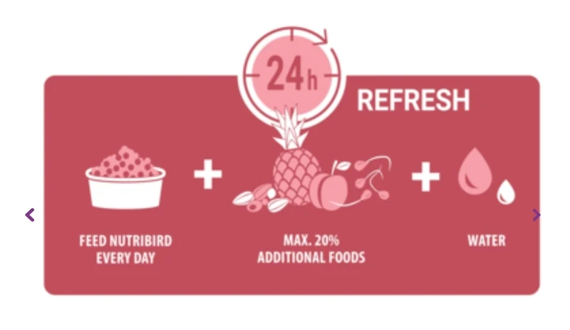 Alimento de mantenimiento para canarios Nutribird C15 10 kg (sustituto de Perle Morbid) - Comida para pájaros