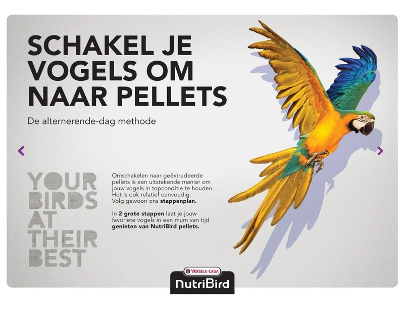 Alimento de mantenimiento para canarios Nutribird C15 10 kg (sustituto de Perle Morbid) - Comida para pájaros