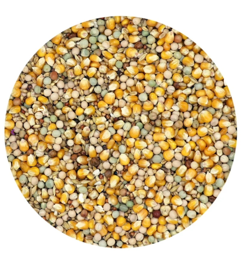 Classic 4 Seasons - Comida para palomas - 20 kg - Versele-Laga