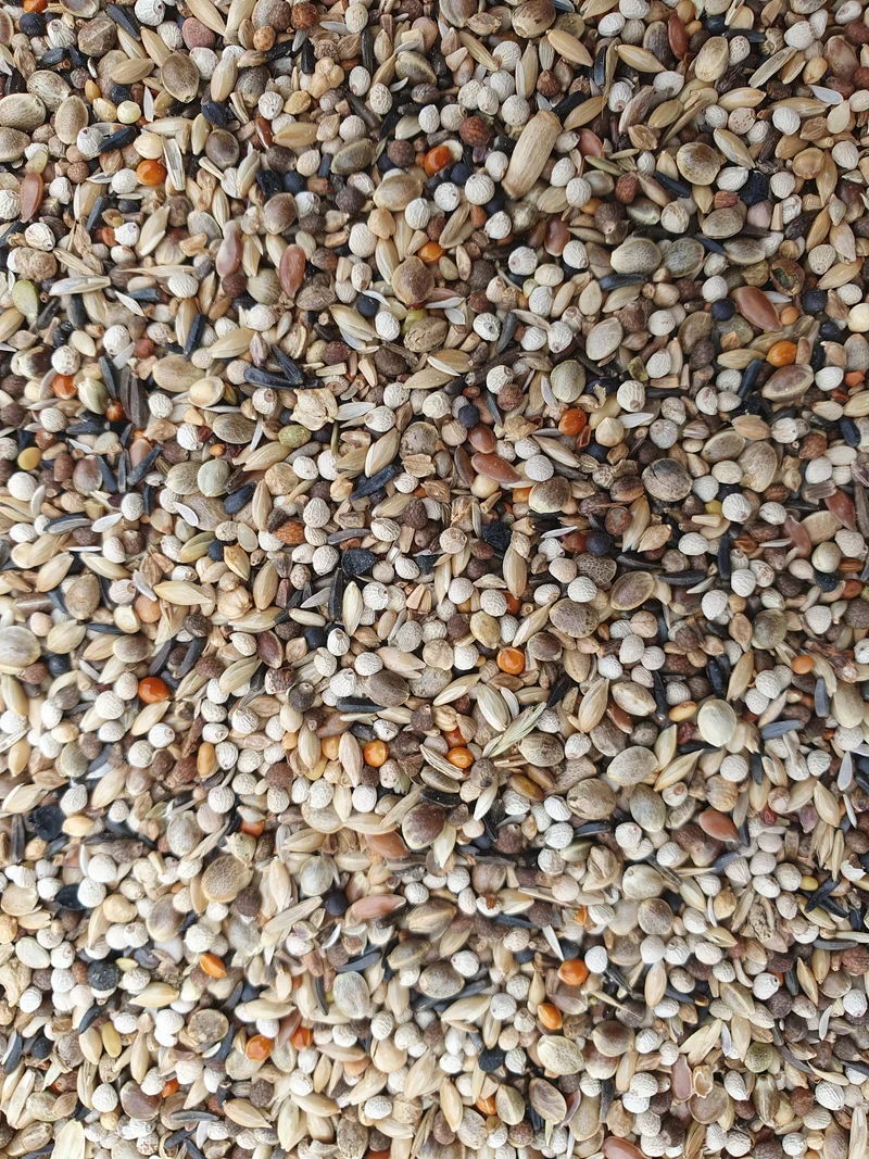 Jilgueros Super RE 1kg - Hobbyfarm Hoebregts