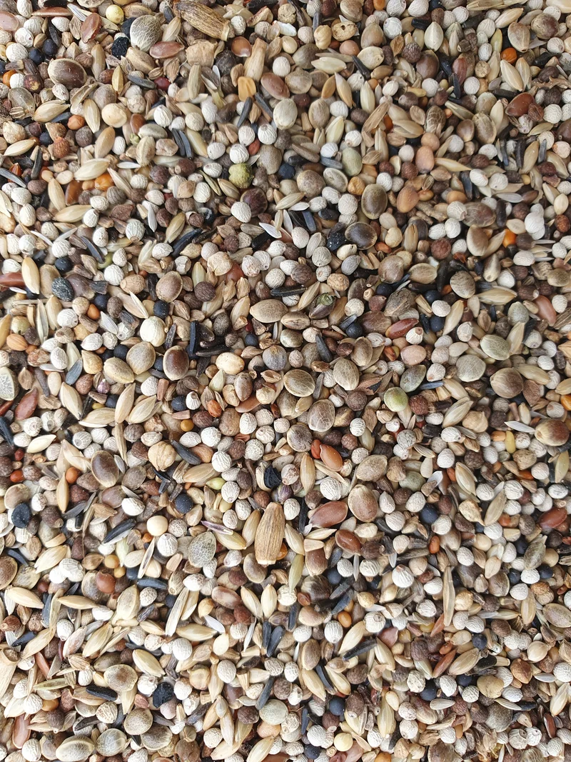 Jilgueros Super RE 1kg - Hobbyfarm Hoebregts