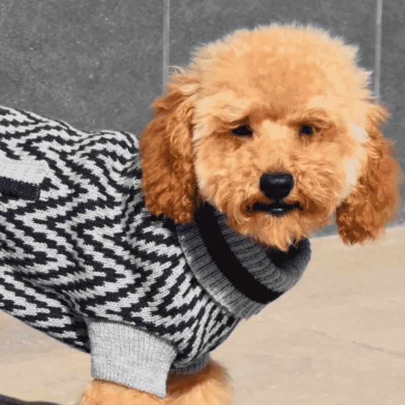 Nayeco Jersey Punto Birmingham Ropa para Perros
