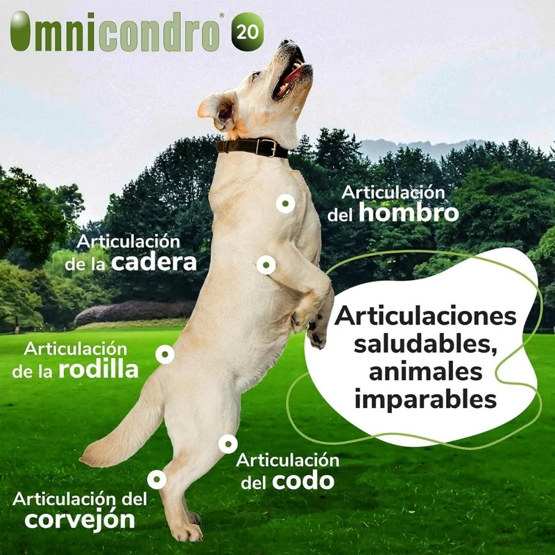 Omnicondro 20 | 60 comprimidos | Condroprotector para Perros y Gatos con Glucosamina y Condroitina | Suplemento Nutricional para Reforzar Articulaciones | Hifarmax