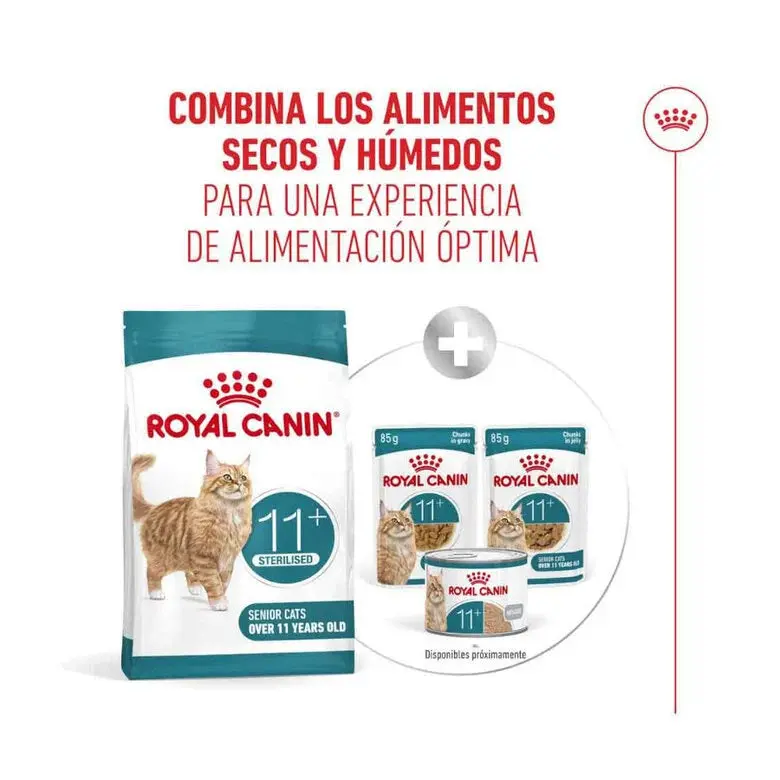 Royal Canin Ageing Sterilised 11+ Pienso para Gatos Senior Esterilizados