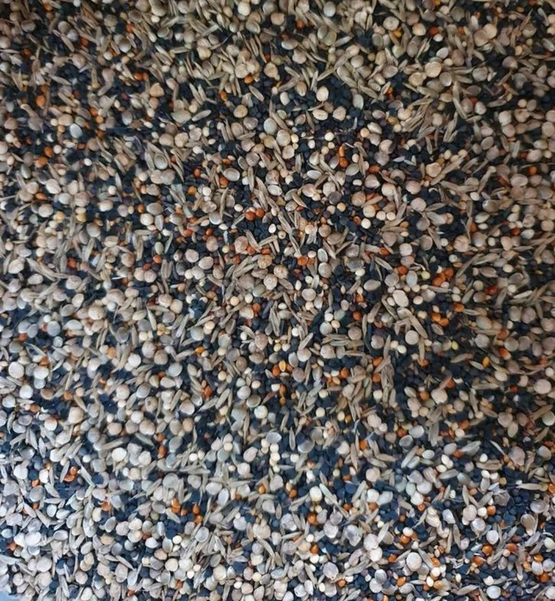 Semillas saludables 5kg Duvo+