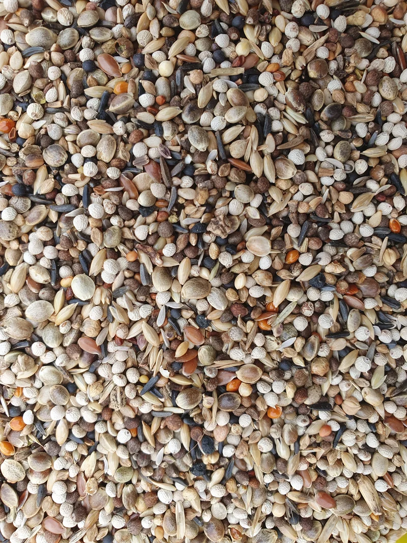 Jilgueros Super RE 5kg - Hobbyfarm Hoebregts