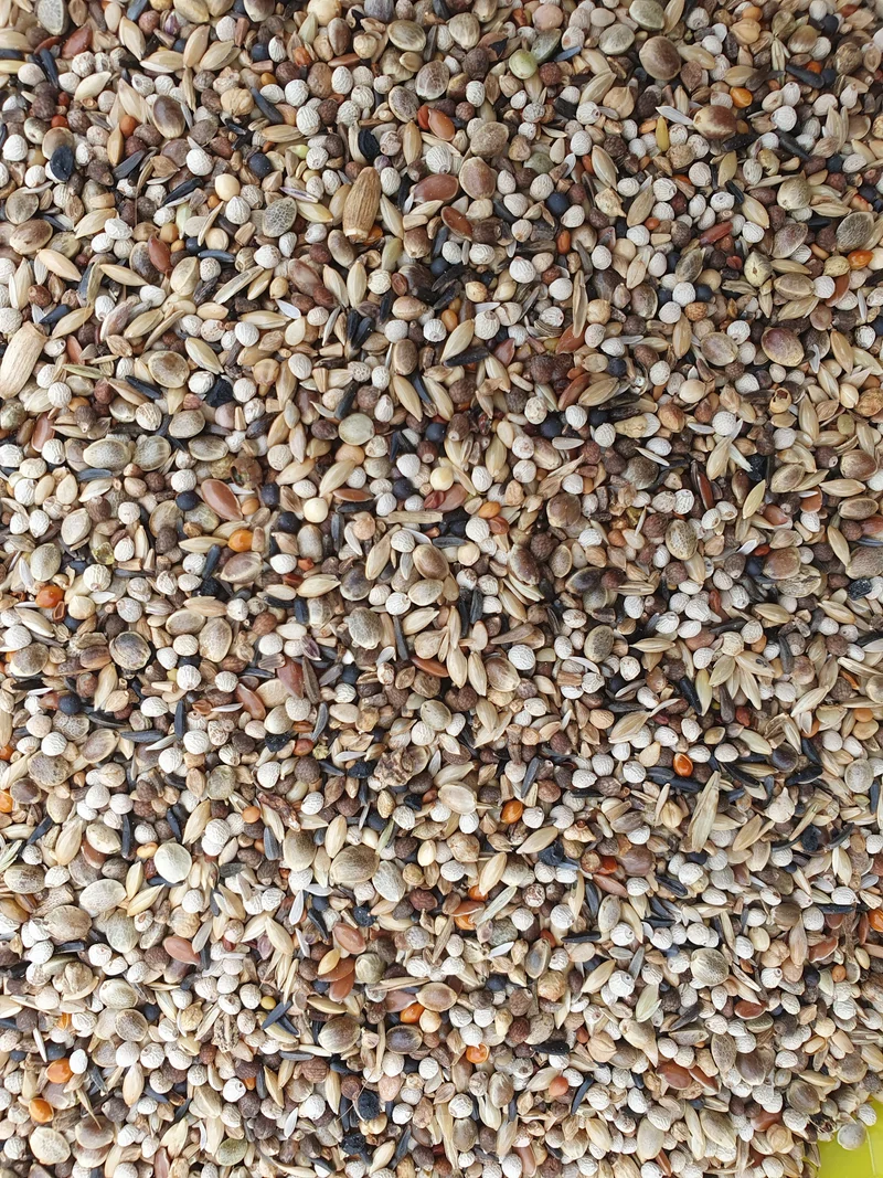 Jilgueros Super RE 5kg - Hobbyfarm Hoebregts