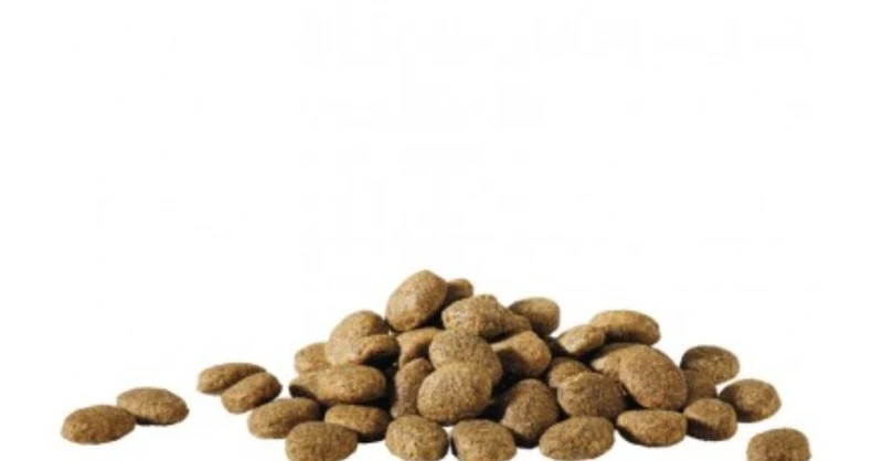 Happy Life Essential 20kg - Alimento Seco Básico Para Perros Adultos