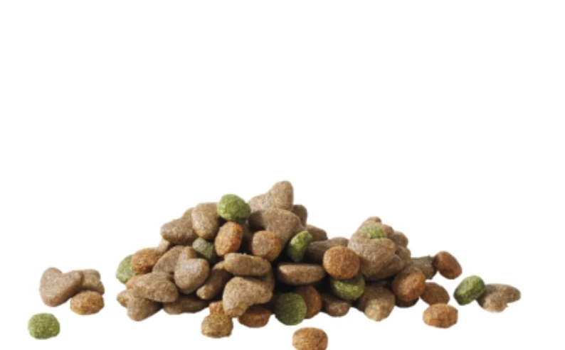 Happy Life Junior Chicken 2.5 kg Alimento variado para pollos, cachorros en crecimiento vital - Versele Laga