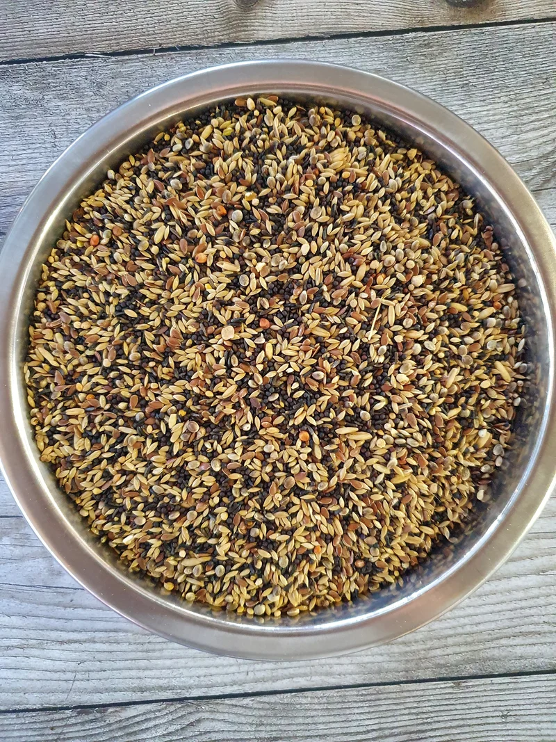 Jilgueros y Siskins Basic Bird-X Mix 5 x 1kg