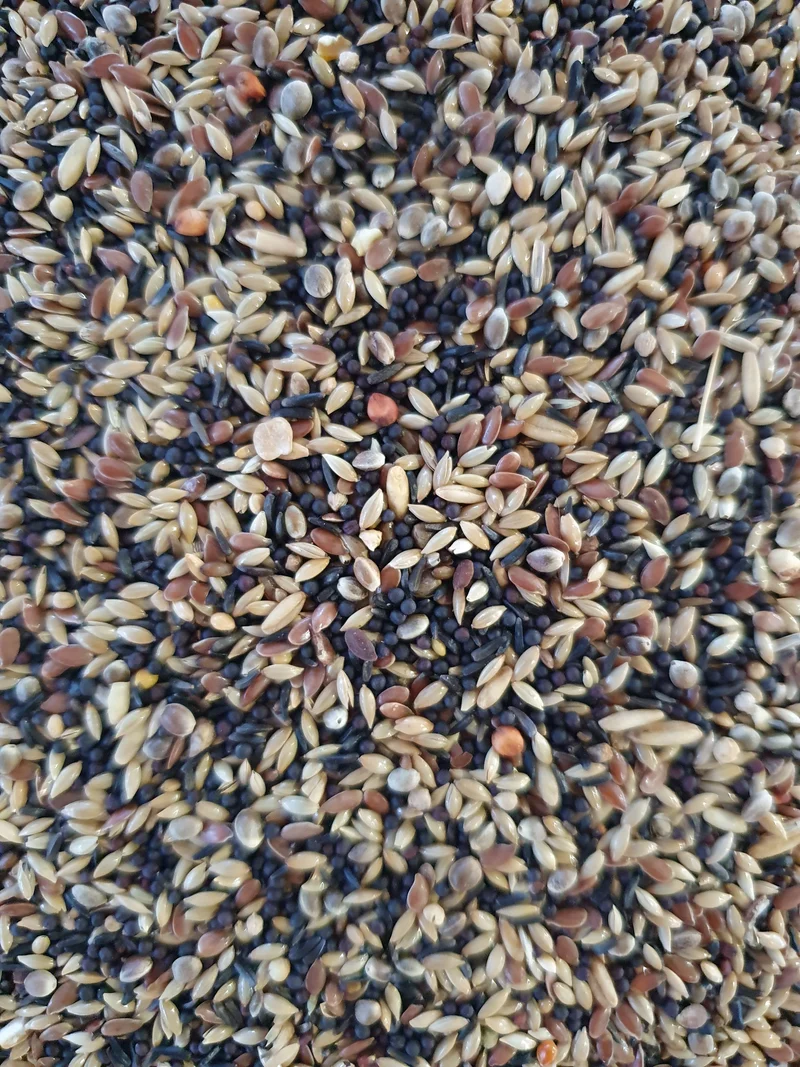 Jilgueros y Siskins Basic Bird-X Mix 5 x 1kg