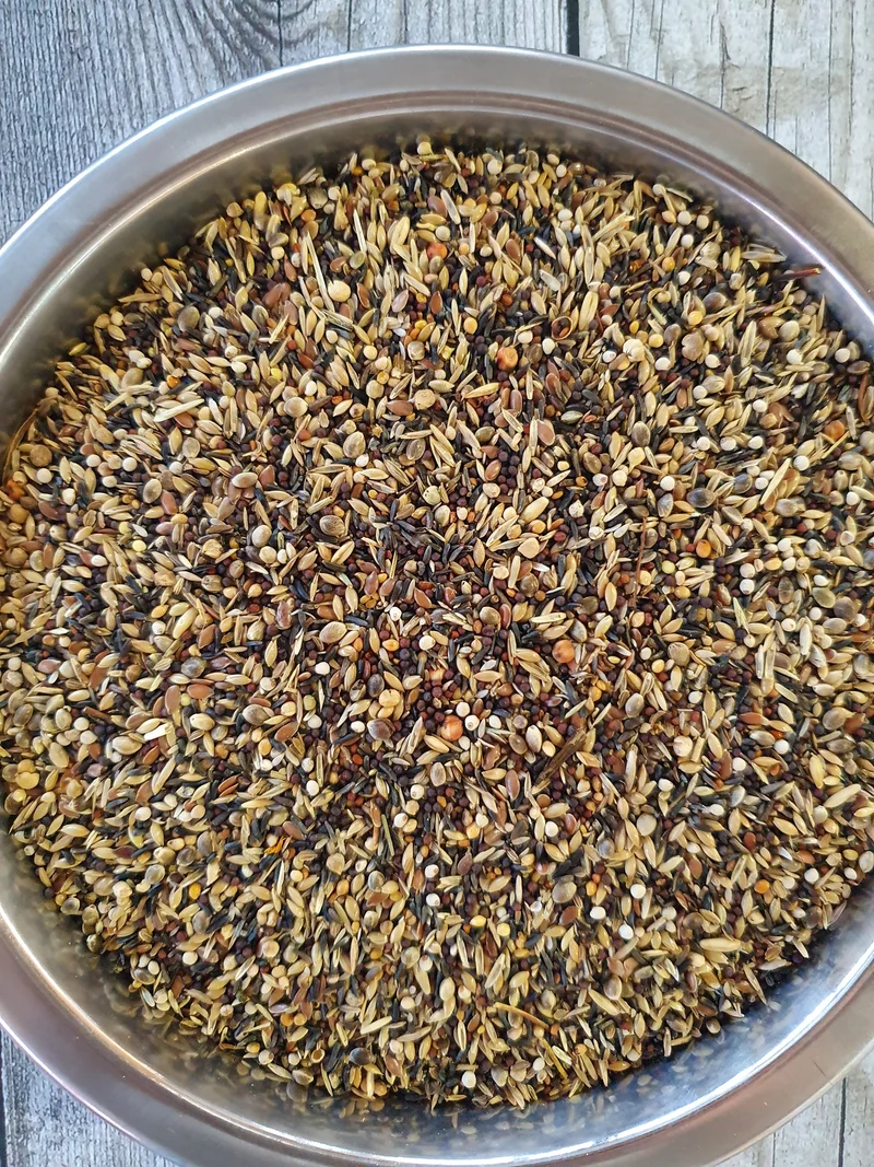 Sissy Jilguero/Jilgueros Pro Bird 5 x 1kg