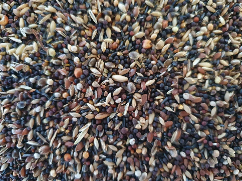 Canción salvaje Pro Bird-X 5 x 1kg