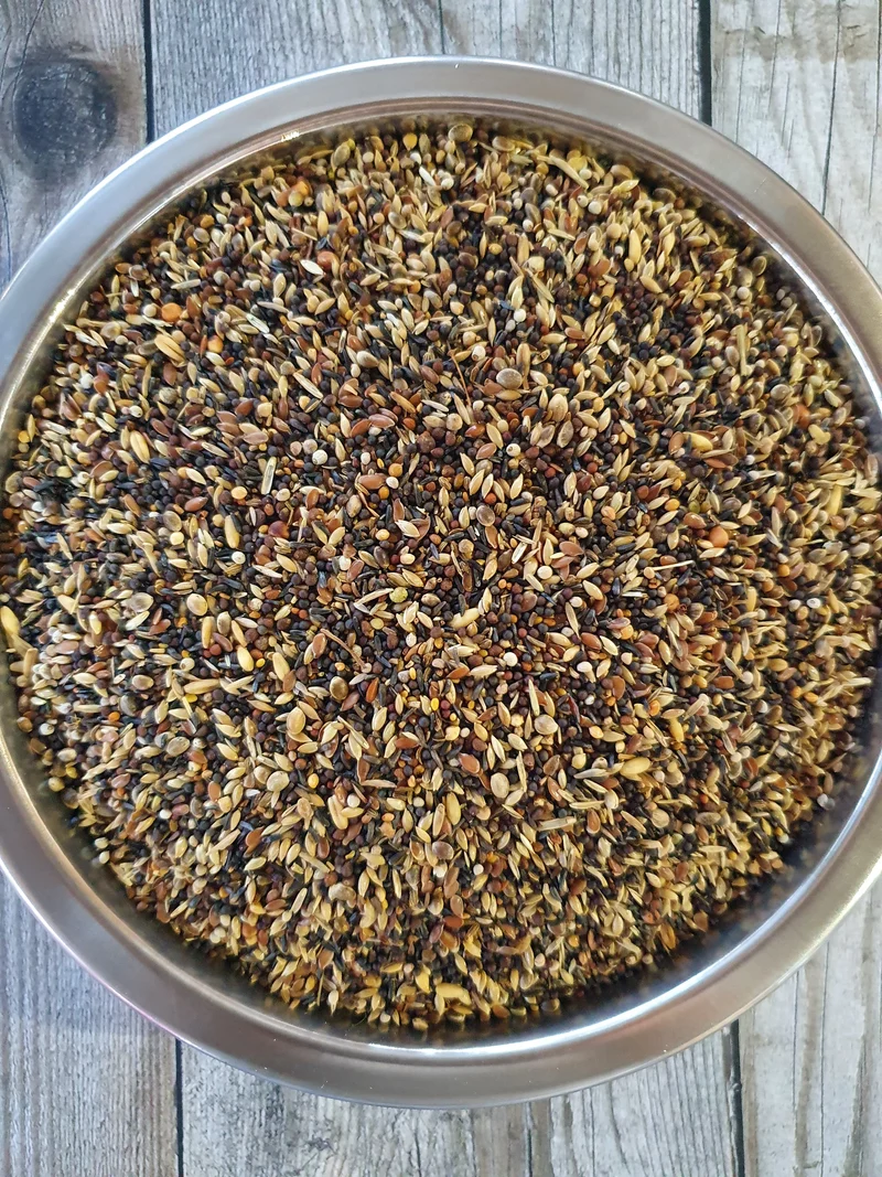 Canción salvaje Pro Bird-X 5 x 1kg