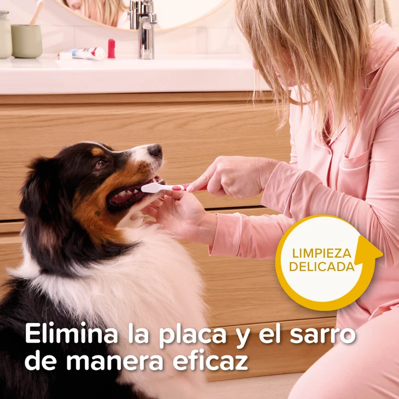 Beaphar Pack Dental para Cachorros | Pasta de Dientes + Cepillo + Cepillo de Dedo