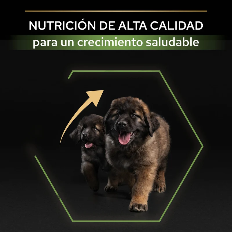 Pro Plan Dog Large Robust Puppy Start Pollo Pienso para Cachorros
