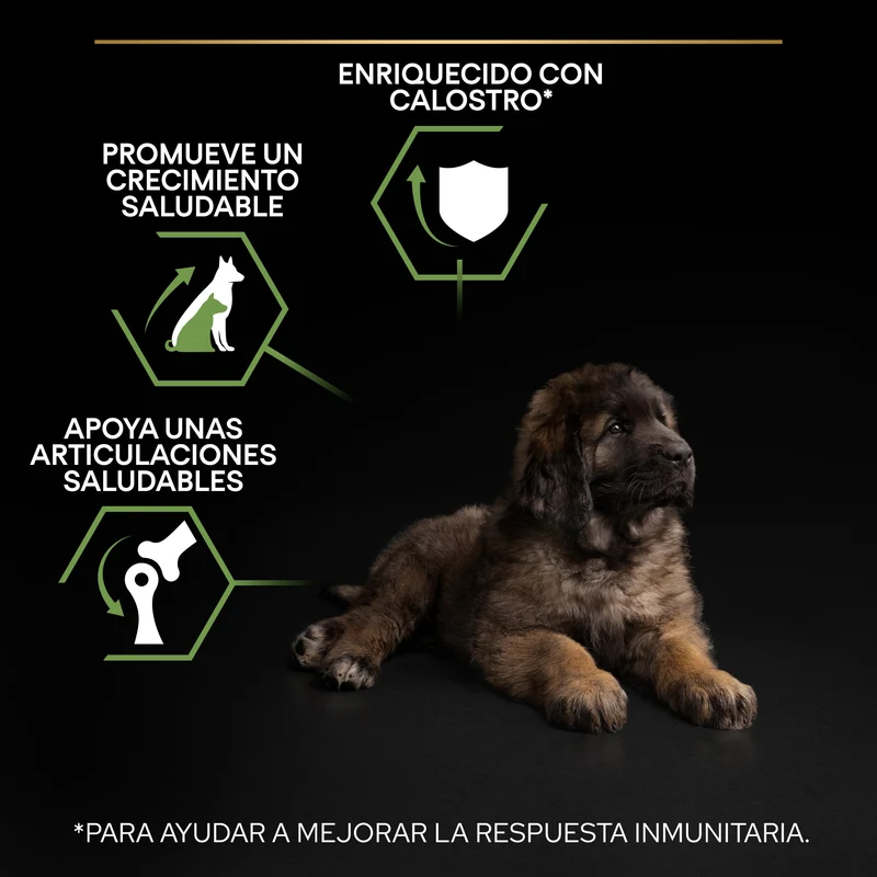 Pro Plan Dog Large Robust Puppy Start Pollo Pienso para Cachorros