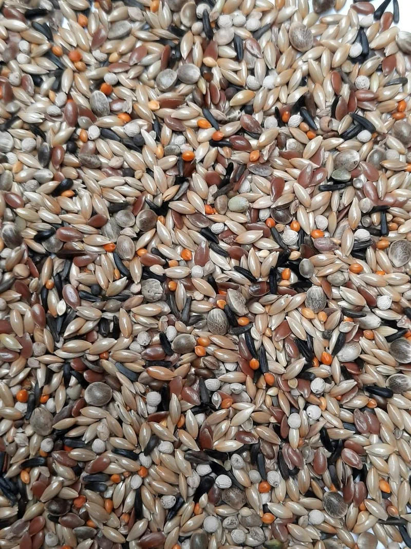 Mezcla Premium Canario Mosaico 20kg - Easseym