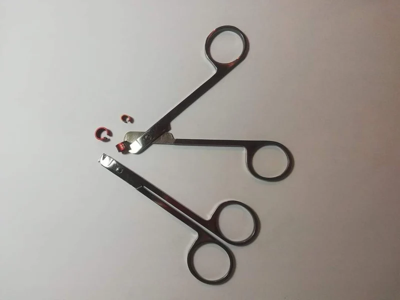 Tijeras para anillos de pájaros ( Fauna )