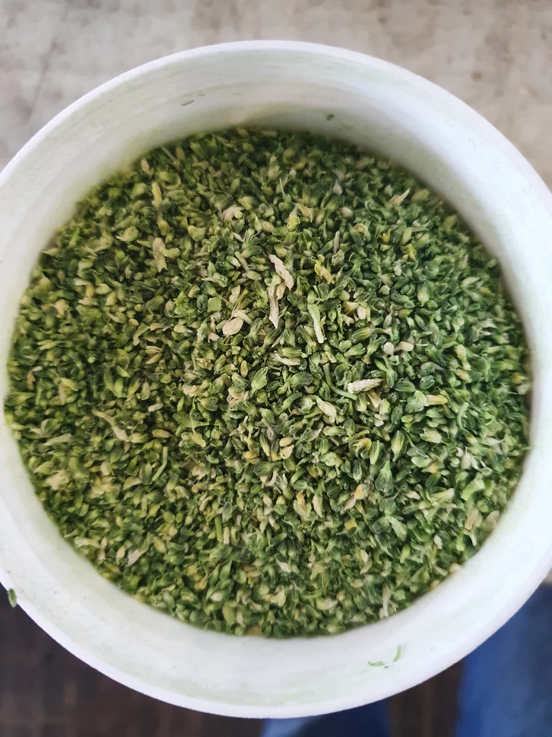 Brócoli 100g - Aporte de proteínas y minerales - Quiko