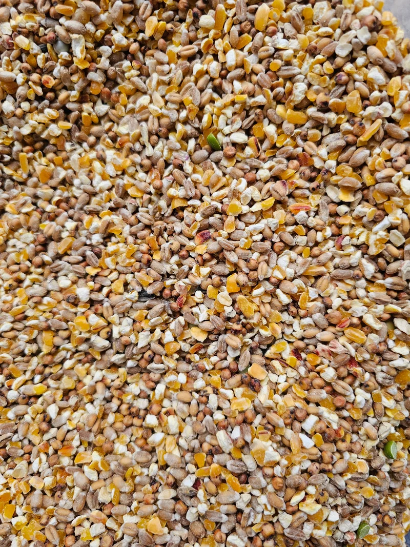 Poeljen grano 20kg - Pienso para pollos - Sin marca