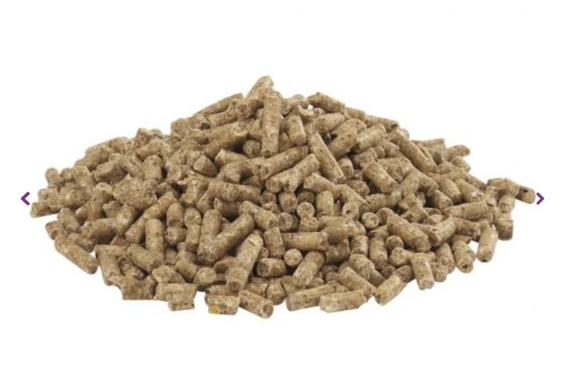 Country's Best Gold 4 Gallico Pellet Laying Pellet - Alimento para pollos - 20 kg desde el 1er huevo