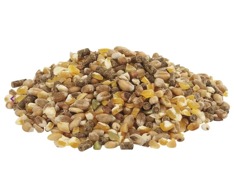 Country's Best Gold 4 Mix Pollo-Grano Con Pellet De Puesta 20kg