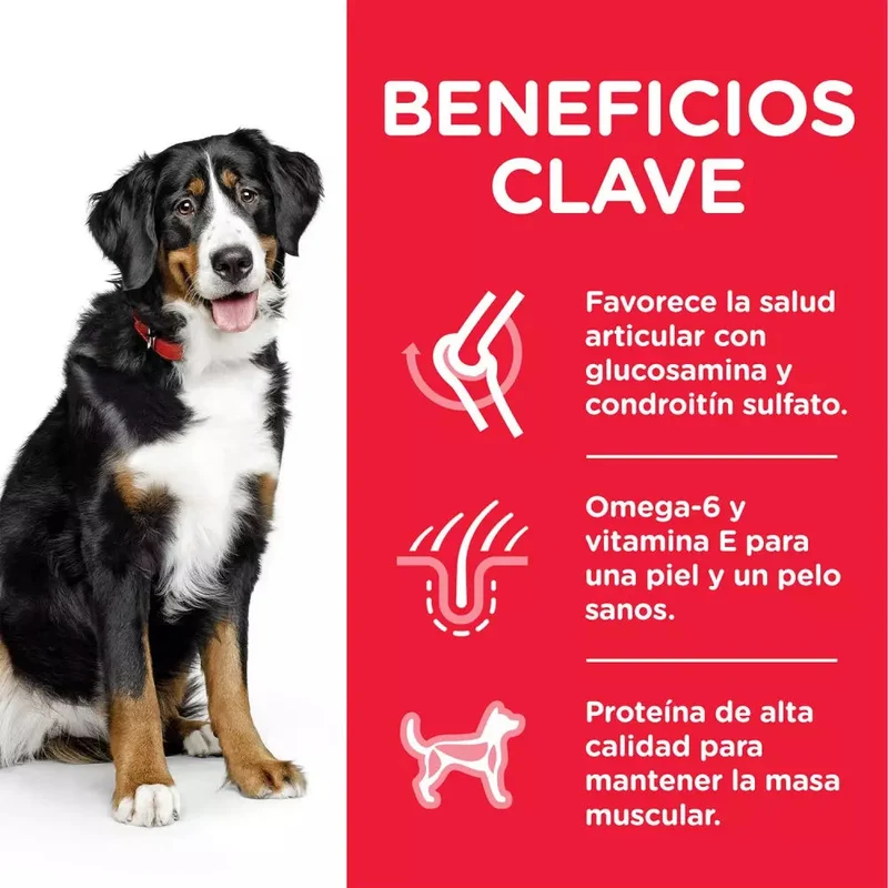 Hill's Science Plan Adult Razas Grandes Pollo Pienso para Perros