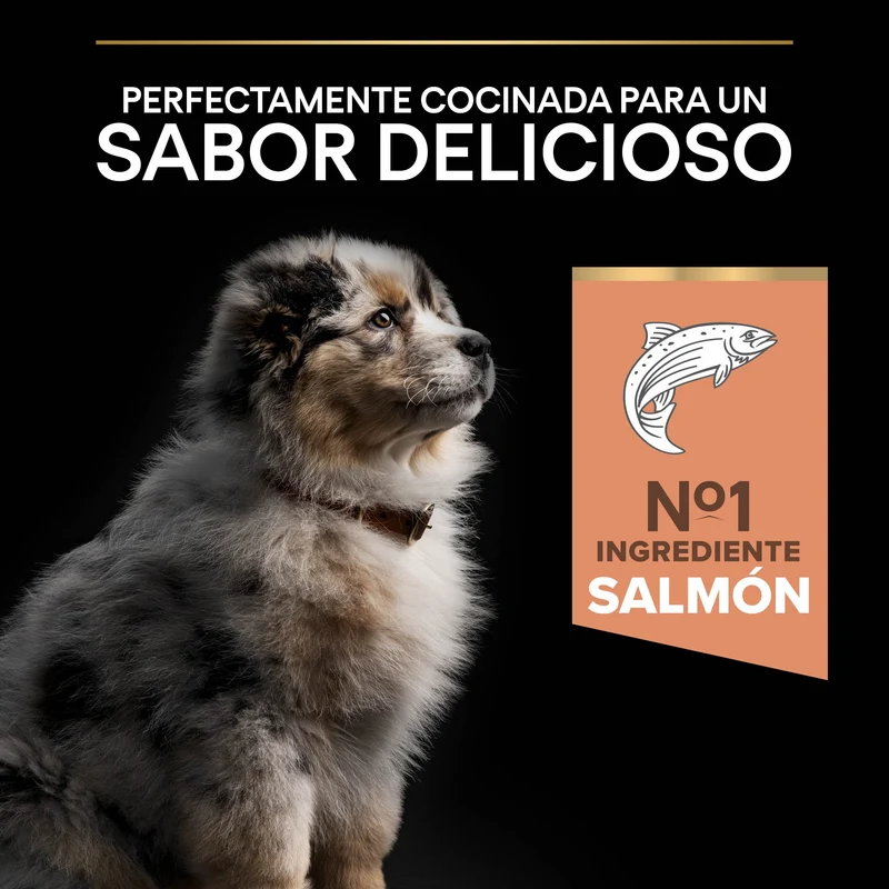 Pro Plan Dog Medium Puppy Sensitive Skin Salmón Pienso para Perros