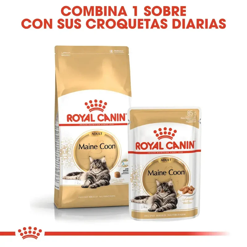 Royal Canin Maine Coon 31 Pienso para Gatos Adultos