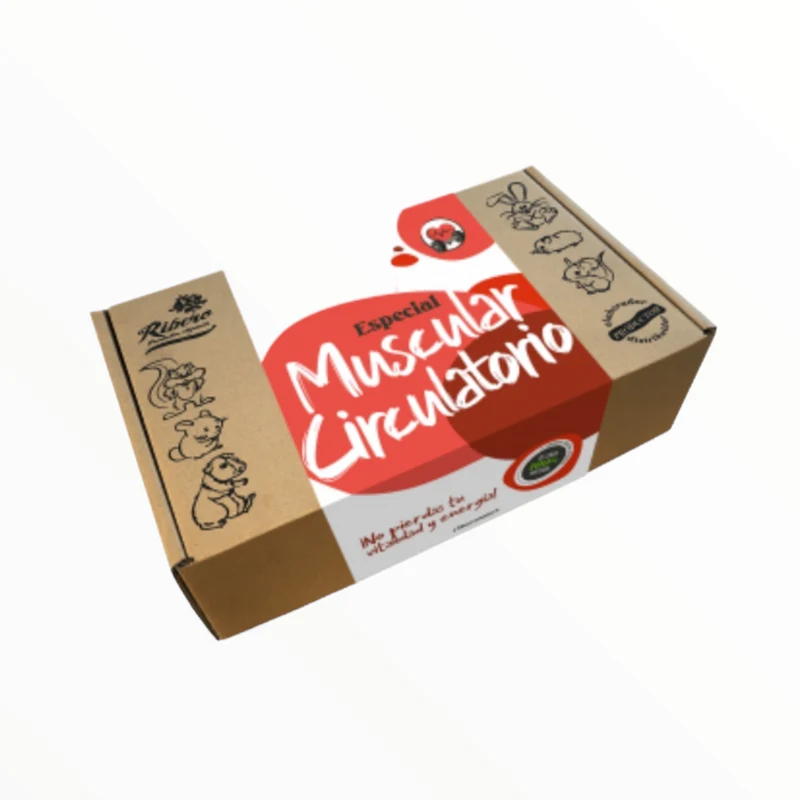 Ribero Buffet Healthy Muscular y Circulatorio