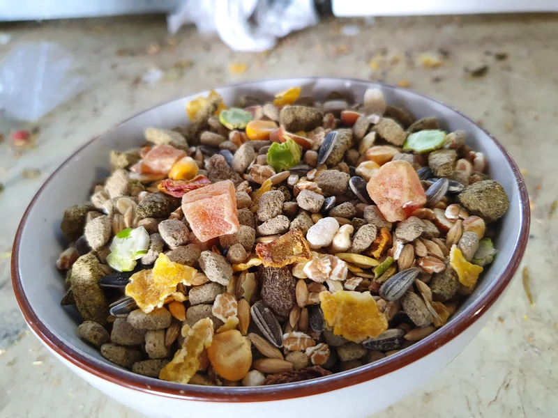 Alimento natural para ratas - Versele Laga