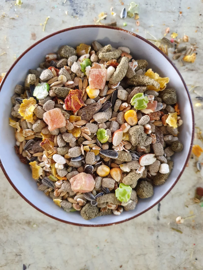 Alimento natural para ratas - Versele Laga