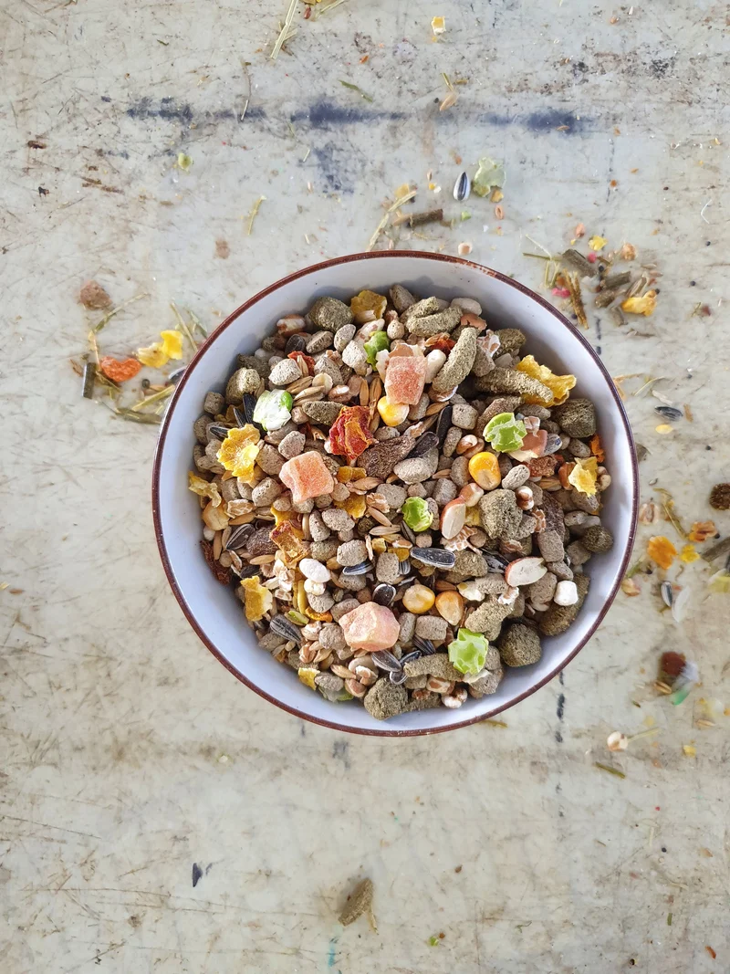 Alimento natural para ratas - Versele Laga