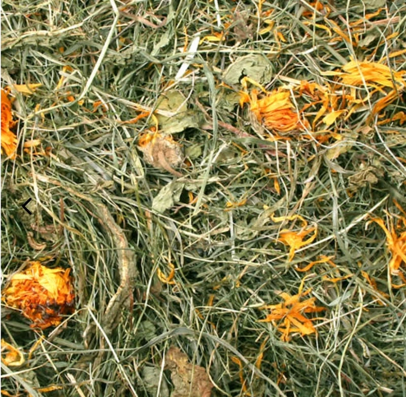 Flor heno diente de león 500 gramos