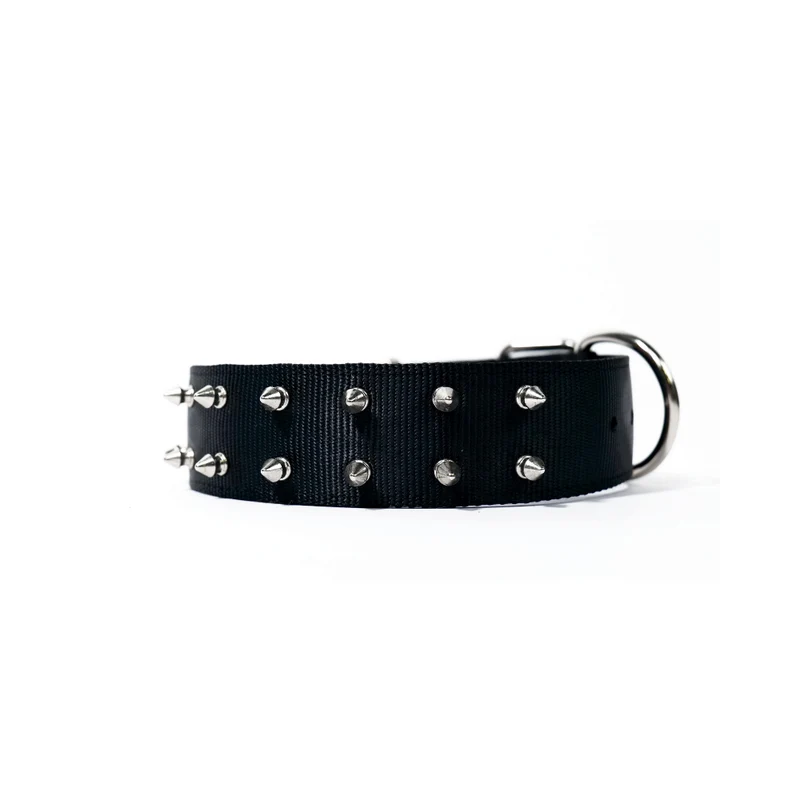 T-REX Protective Spiked Dog Collar