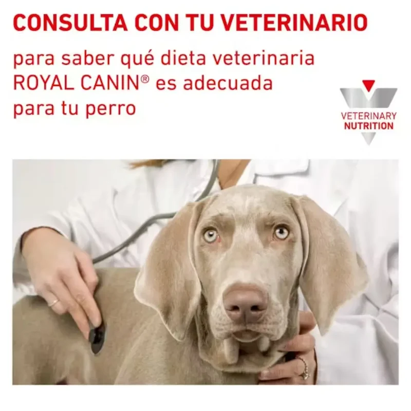 Royal Canin Veterinary Urinary S/O Sobre 100 g Perro húmedo