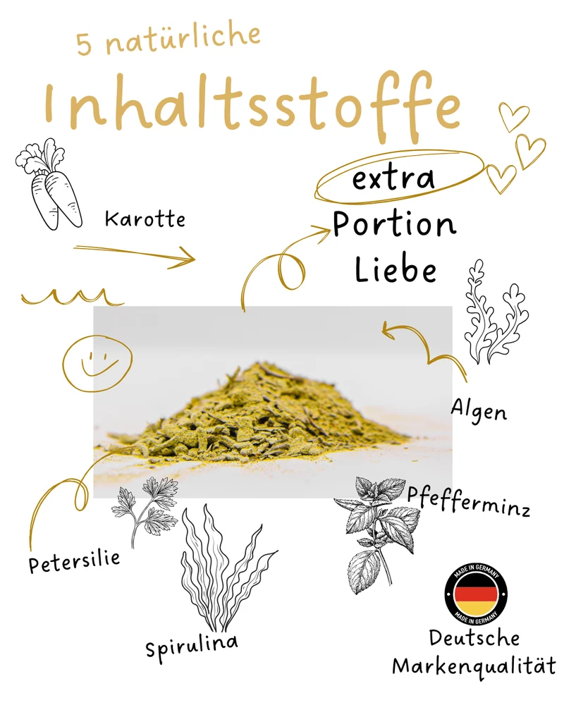 Riolino FreshBite – Zahnpflege natural para perros
