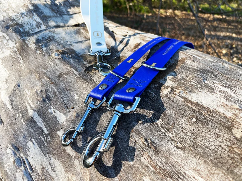 Doppelleine TECHTELMECHTEL aus BioThane®/Pop - Banda
