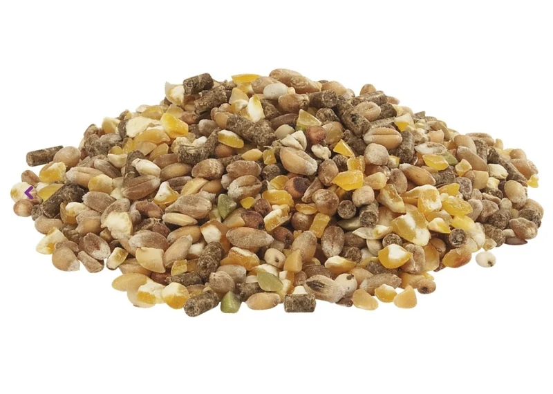 Country`s Best Gold 4 Mix Pollo Grano Con Pellet De Puesta 5 kg Estándar - Versele Laga