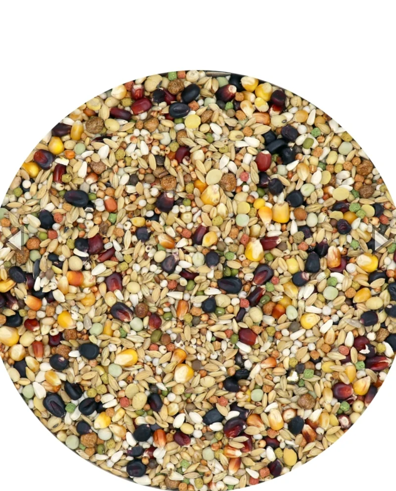 IC+ Black Label Junior Pienso para palomas 20kg - Versele Laga
