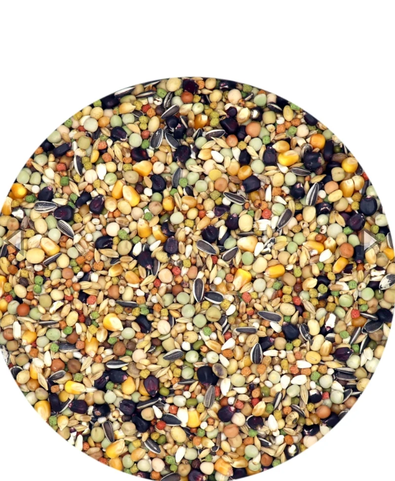 Plus IC + Mutine Black Label Pienso para palomas 20 kg - Versele Laga