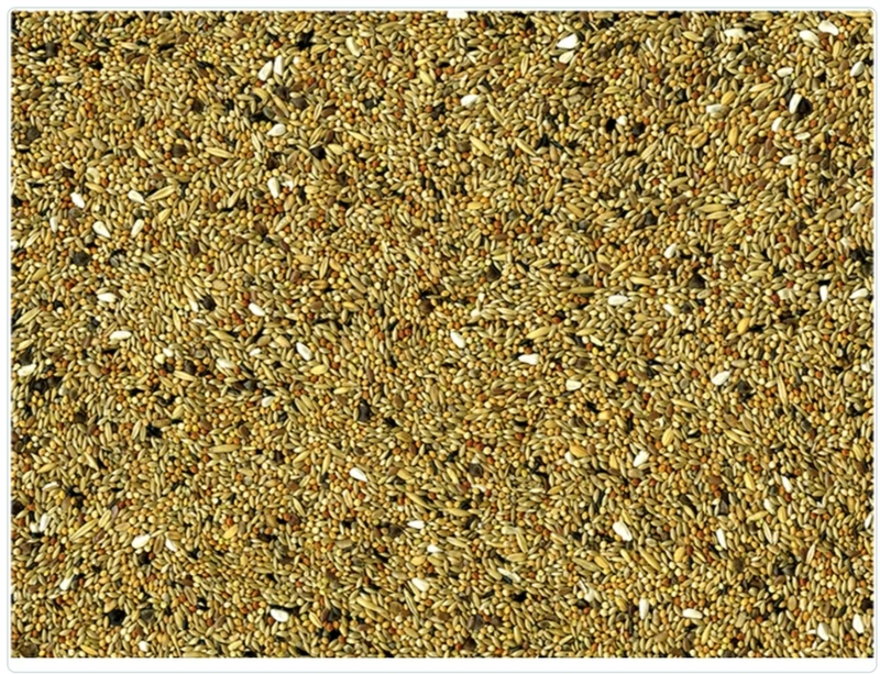 Agapornis y Neophema 20kg - Vadigran