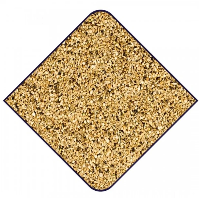 Experto Postura Canario 20kg Witte Molen