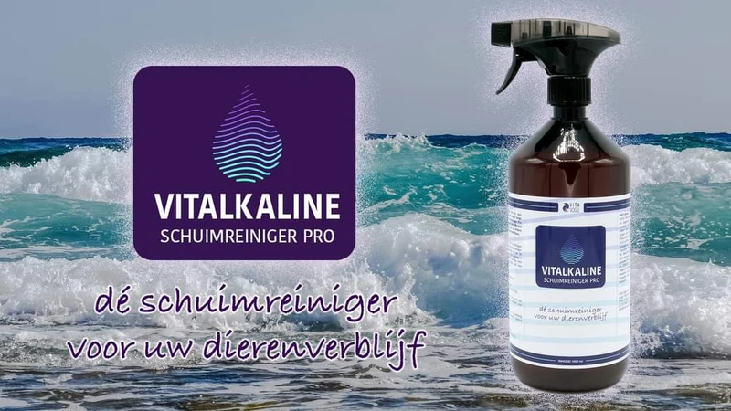 Vitalkaline Espuma Limpiadora PRO 1L - Vita Vogel
