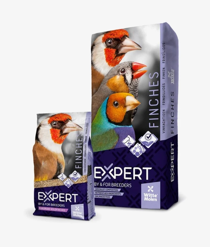 Putters Expert 2kg - Composición de Alta Calidad