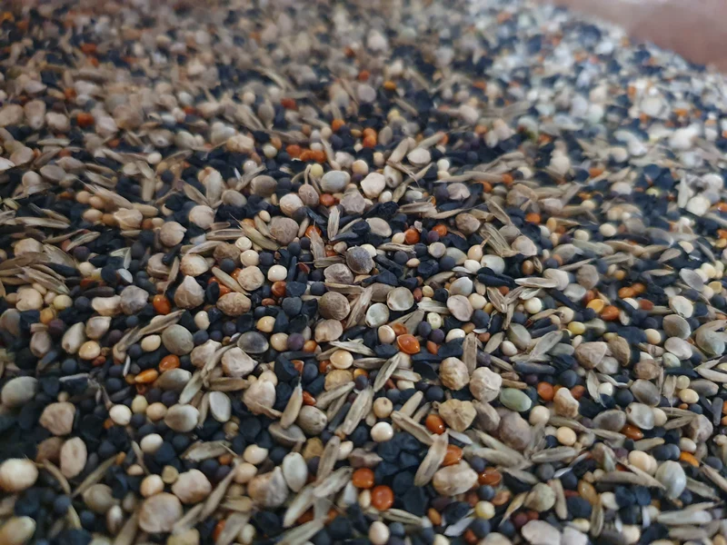 Semillas saludables 1kg Duvo+