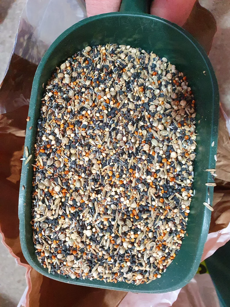 Semillas saludables 1kg Duvo+